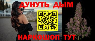 сатива Краснознаменск
