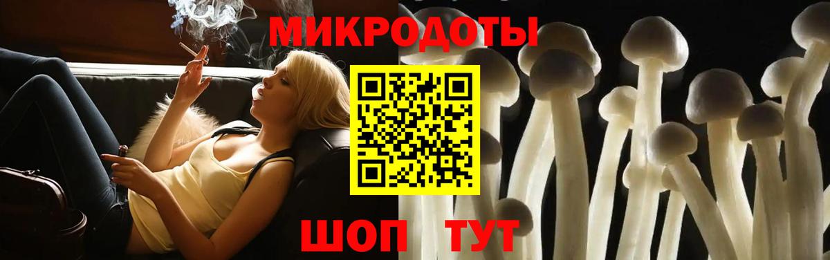 Галлюциногенные грибы прущие грибы  Вход с VPN  Галлюциногенные грибы мицелий  Карачаевск 